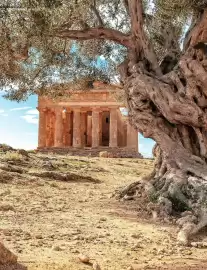 Catalogue Kuoni page 72