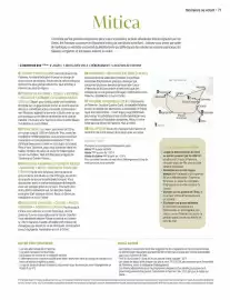 Catalogue Kuoni page 73