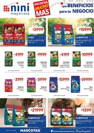 Catálogo Nini Mayorista semana 1 Página 34
