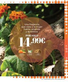 Catálogo Cristian Lay Página 21