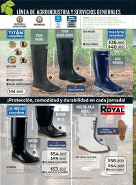 Catálogo Croydon Página 270