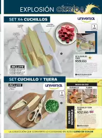 Catálogo Croydon Página 229