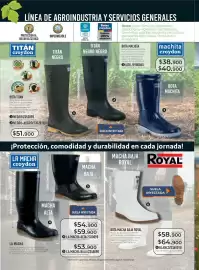 Catálogo Croydon Página 270