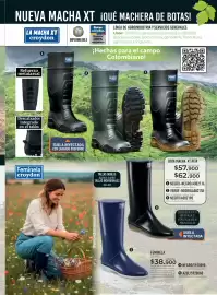 Catálogo Croydon Página 271