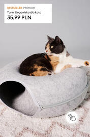 Sinsay gazetka Strona 11