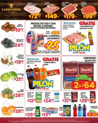 Folleto Mi Tienda del Ahorro (válido hasta 1-01)