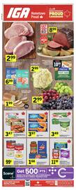 IGA flyer Page 1