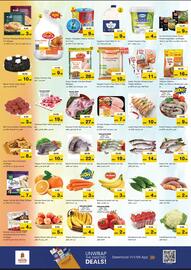 Nesto catalogue Page 2