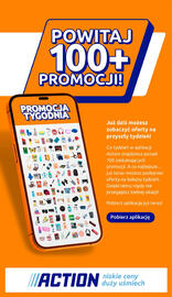Action gazetka tydzień 1 Strona 31