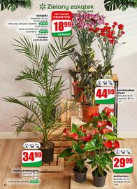 Dino gazetka tydzień 1 Strona 40