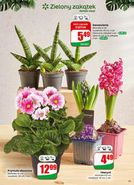 Dino gazetka tydzień 1 Strona 41