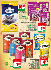 Dino gazetka tydzień 1 Strona 63