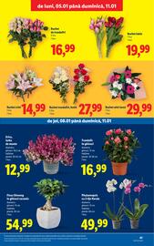 Catalog Lidl săptămâna 2 Pagină 41