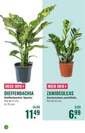 GroenRijk folder Pagina 10