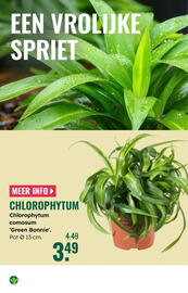 GroenRijk folder Pagina 13