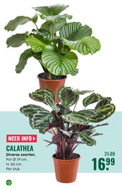 GroenRijk folder Pagina 15