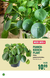 GroenRijk folder Pagina 3