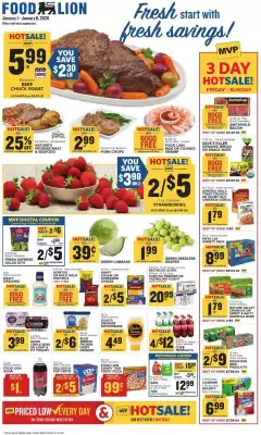 Food Lion weekly ad