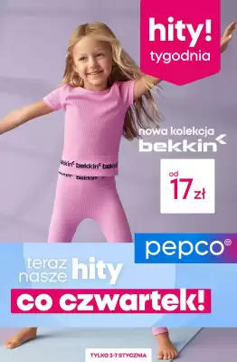 Pepco gazetka (wa偶no艣膰 do 7-01)