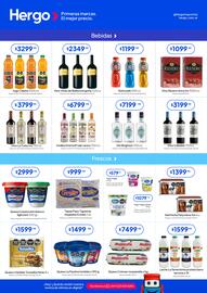 Revista Hergo semana 1 Página 3