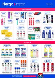 Revista Hergo semana 1 Página 4
