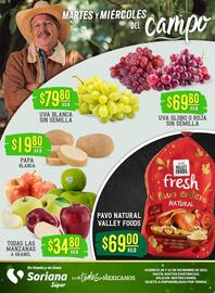 Catálogo Soriana Súper Página 1