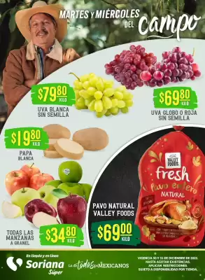 Catálogo Soriana Súper (válido hasta 31-12)
