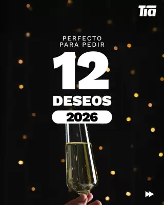 Catálogo Tia (válido hasta 2-01)