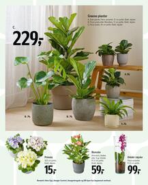 Føtex tilbudsavis Side 58