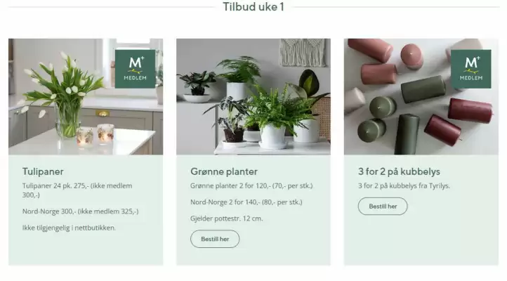 Mester Grønn kundeavis (gyldig til 4-01)