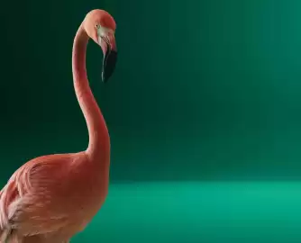 Skoda folder Pagina 2