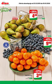 Dino gazetka tydzień 1 Strona 7