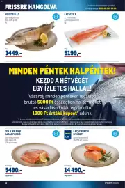 Metro akciós újság Oldal 16