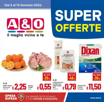 Volantino A&O (valido fino al 13-01)