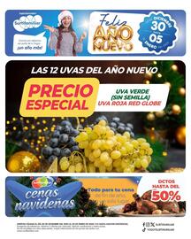 Catálogo Surtifamiliar semana 1 Página 1