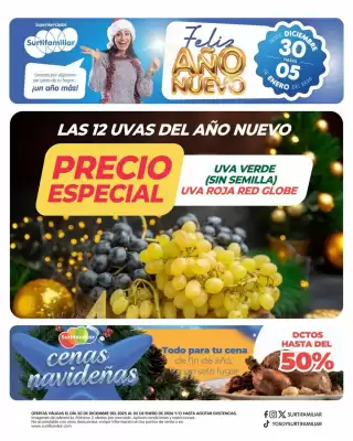 Catálogo Surtifamiliar (válido hasta 5-01)