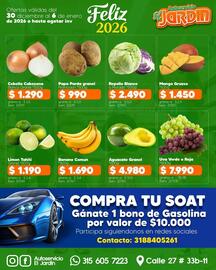 Catálogo Autoservicio El Jardín semana 1 Página 5