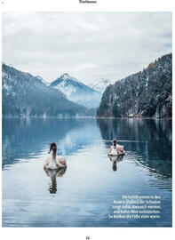 Fressnapf Flugblatt Seite 11