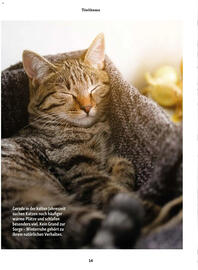Fressnapf Flugblatt Seite 14