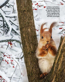 Fressnapf Flugblatt Seite 15