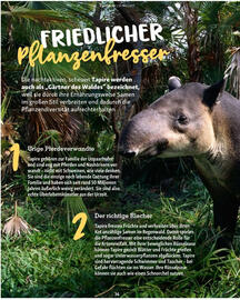 Fressnapf Flugblatt Seite 36