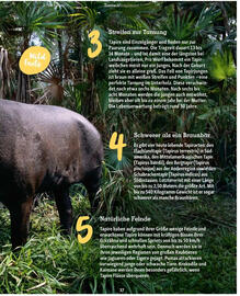 Fressnapf Flugblatt Seite 37