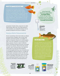 Fressnapf Flugblatt Seite 49