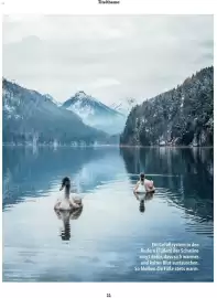 Fressnapf Flugblatt Seite 11