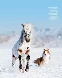 Fressnapf Flugblatt Seite 12