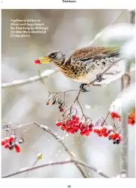 Fressnapf Flugblatt Seite 13