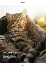 Fressnapf Flugblatt Seite 14