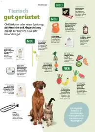 Fressnapf Flugblatt Seite 19