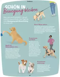 Fressnapf Flugblatt Seite 20