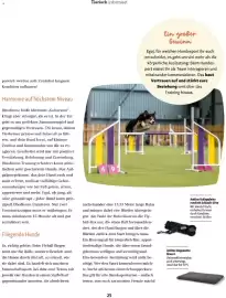 Fressnapf Flugblatt Seite 25